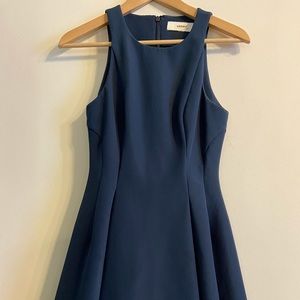 Cameo fit and flare dress with full skirt
